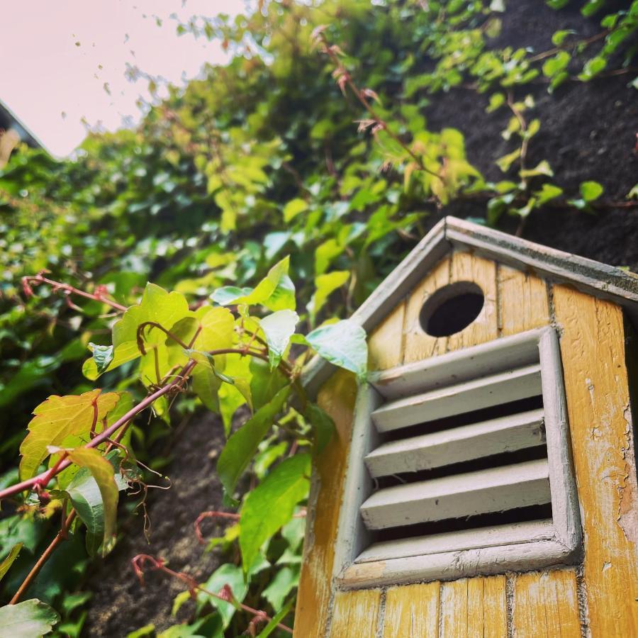 La Maison Aux Murs Anciens Et Ses Séjour chez l'habitant *