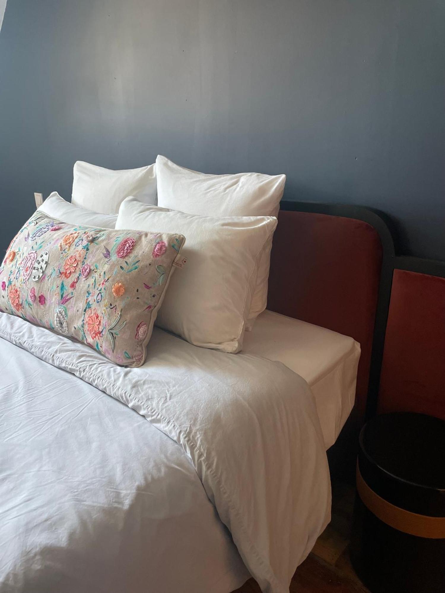 La Maison Aux Murs Anciens Et Ses Homestay Tarbes