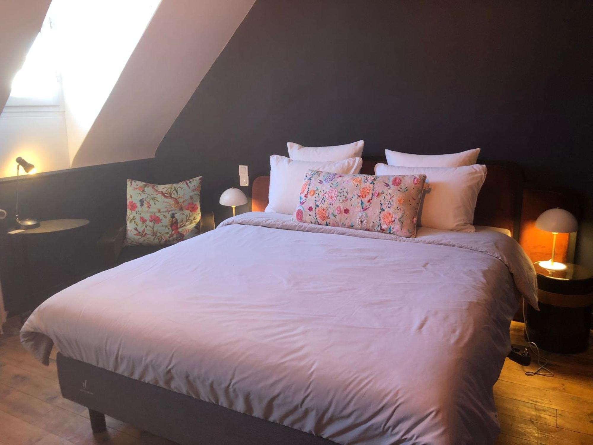 La Maison Aux Murs Anciens Et Ses Homestay Tarbes